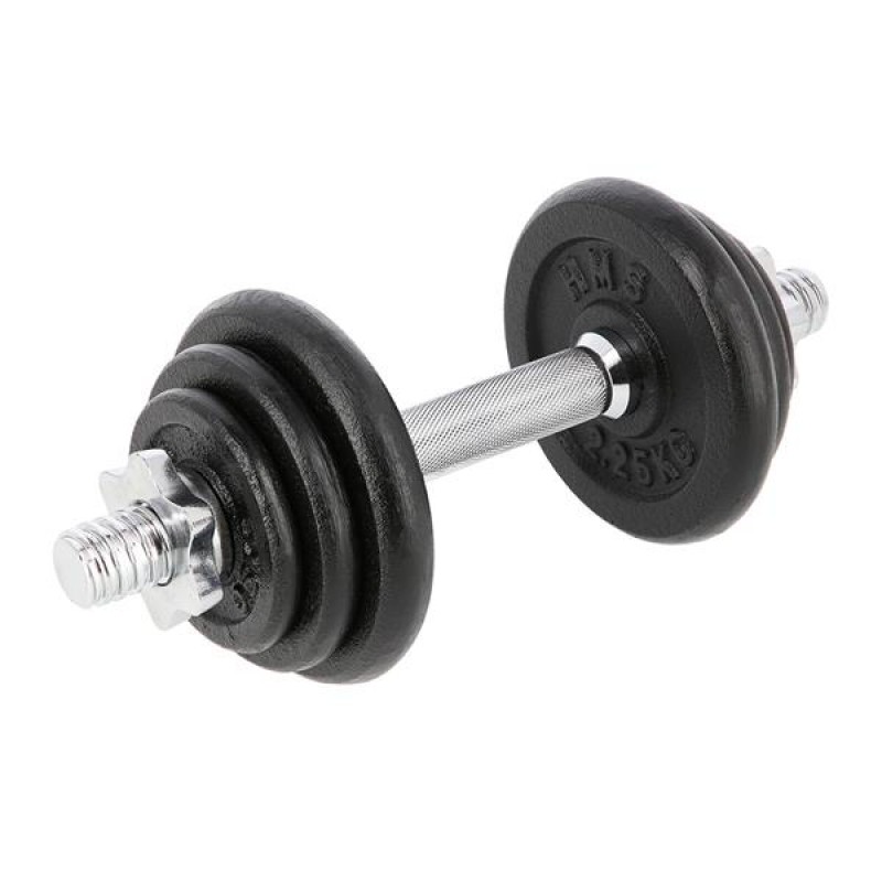 SG03 CAST IRON DUMBBELL 10 KG