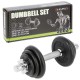 SG03 CAST IRON DUMBBELL 10 KG