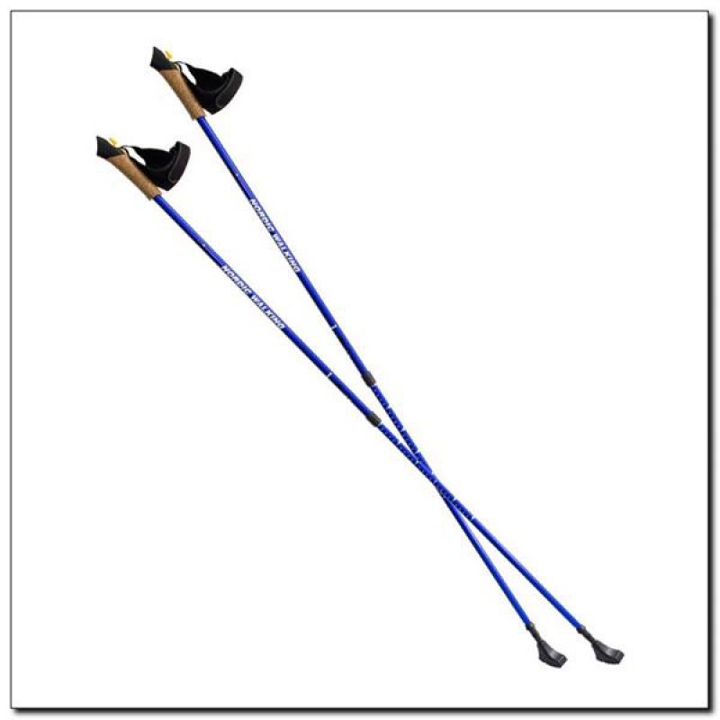 NW607 BLUE NORDIC WALKING POLES NILS