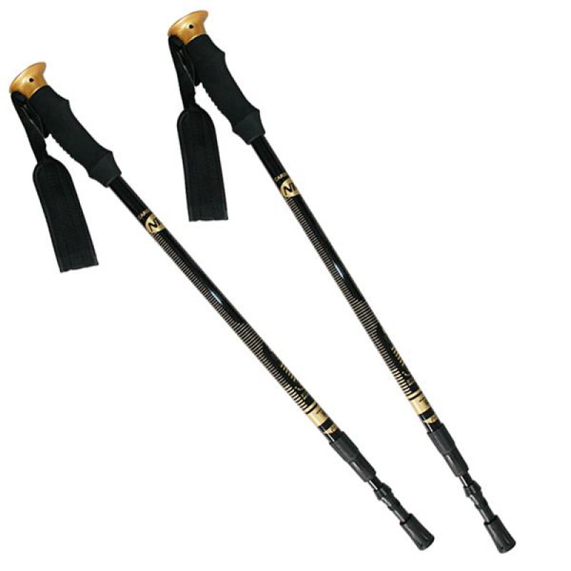 NW-TK19 NORDIC WALKING / TREKKING POLES NILS