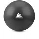 Meteor Gimnastikos kamuolys su pompa, 75cm - Juodos spalvos Meteor Gimnastikos kamuolys su pompa, 75cm - Juodos spalvos